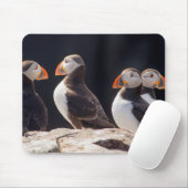 Tapis De Souris Flock of Puffins (Avec souris)