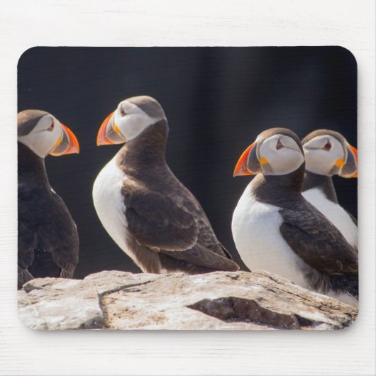Tapis De Souris Flock of Puffins (Devant)