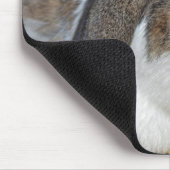 Tapis De Souris Floppy Eared Bunny (Coin)