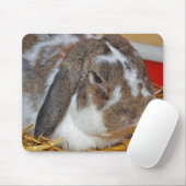 Tapis De Souris Floppy Eared Bunny (Avec souris)