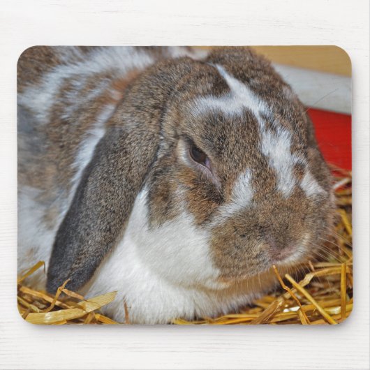 Tapis De Souris Floppy Eared Bunny (Devant)