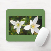 Tapis De Souris Floraison blanche printanière (Avec souris)