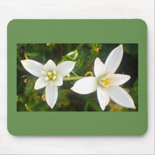 Tapis De Souris Floraison blanche printanière