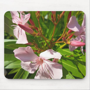 Tapis de souris floral à l'oléandre rose Jardin bo