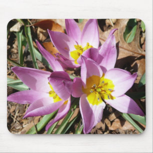 Tapis De Souris Floral de Pink