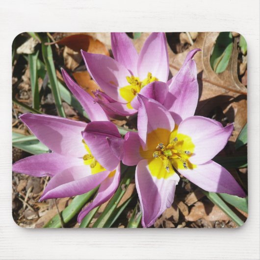 Tapis De Souris Floral de Pink (Devant)