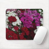 Tapis De Souris Floral Dianthus blanc, rose et rouge (Avec souris)