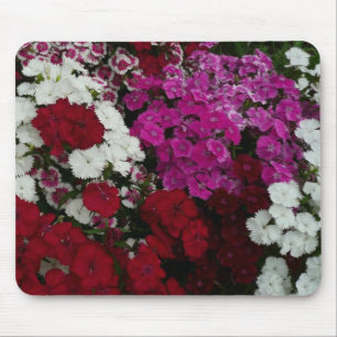 Tapis De Souris Floral Dianthus blanc, rose et rouge