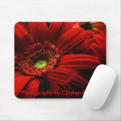 Tapis de souris -- Floral rouge (Avec souris)