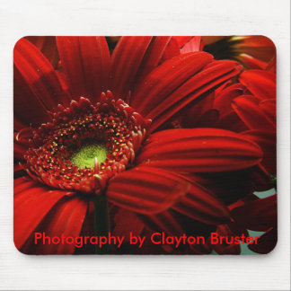 Tapis de souris -- Floral rouge