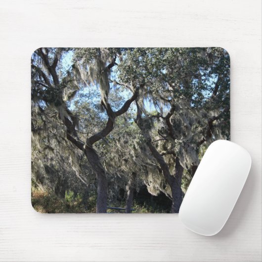 Tapis De Souris Florida Spanish Moss (Avec souris)