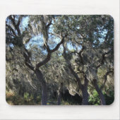 Tapis De Souris Florida Spanish Moss (Devant)