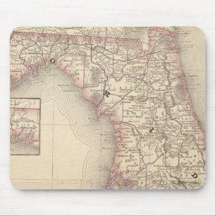 Tapis De Souris Floride 10