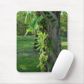 Tapis De Souris Floride fougères Mousepad (Avec souris)