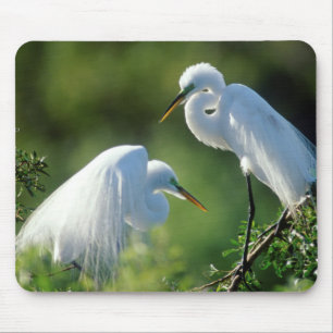 Tapis De Souris Floride, Venise, Sanctuaire Audubon, Aigrette garz