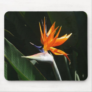 Tapis De Souris Flower tropical orange paradise