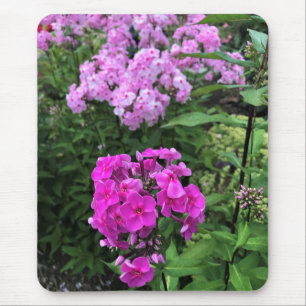 Tapis De Souris Flowers at Château Morrisette Winery, Floyd, VA