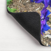 Tapis De Souris Flowers at Château Morrisette Winery, Floyd, VA (Coin)