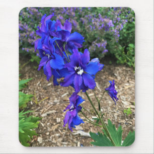 Tapis De Souris Flowers at Château Morrisette Winery, Floyd, VA
