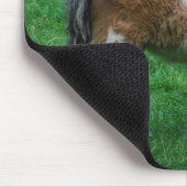 Tapis De Souris Fluffy Adorable Dartmoor Pony (Coin)