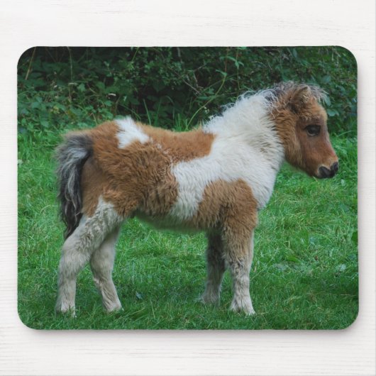 Tapis De Souris Fluffy Adorable Dartmoor Pony (Devant)