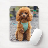 Tapis De Souris Fluffy Brown Poodle Chien chiot (Avec souris)