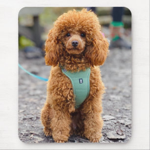 Tapis De Souris Fluffy Brown Poodle Chien chiot