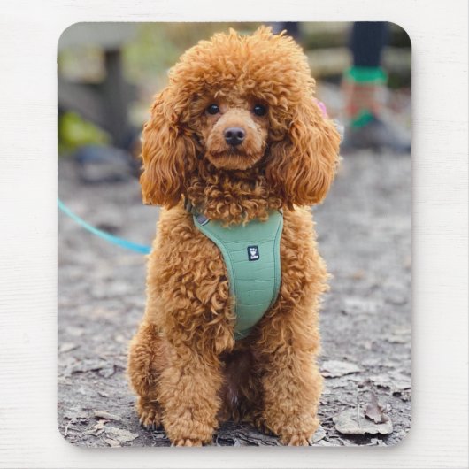 Tapis De Souris Fluffy Brown Poodle Chien chiot (Devant)