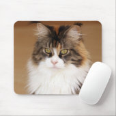 Tapis De Souris Fluffy Maine Coon Cat (Avec souris)