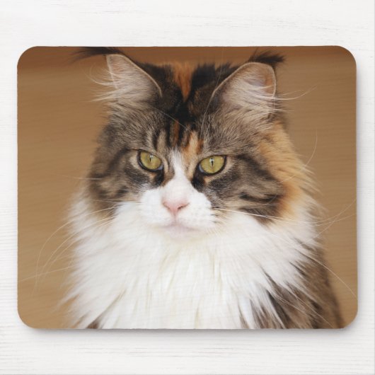Tapis De Souris Fluffy Maine Coon Cat (Devant)