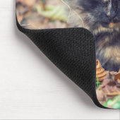 Tapis De Souris Fluffy Tortoiseshell Kitty à l'automne (Coin)