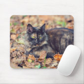 Tapis De Souris Fluffy Tortoiseshell Kitty à l'automne (Avec souris)