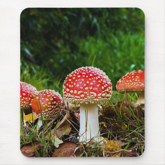 Tapis De Souris Fly agaric (Devant)