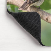 TAPIS DE SOURIS FLYCATCHER (Coin)