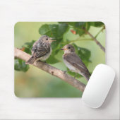 TAPIS DE SOURIS FLYCATCHER (Avec souris)