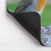 Tapis De Souris FLYCATCHER à gorge rouge (Coin)
