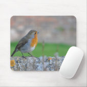 Tapis De Souris FLYCATCHER à gorge rouge (Avec souris)