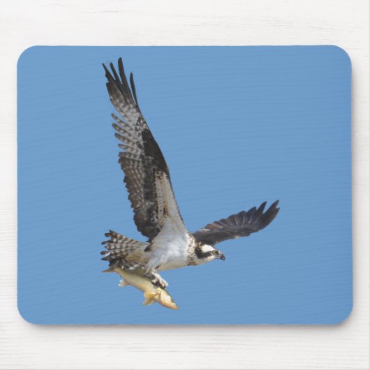Tapis De Souris Flying Osprey & Fish Wildlife Photography (Devant)