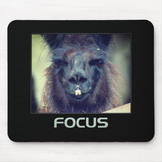 Tapis De Souris Focus Black Llama Inspiration (Devant)