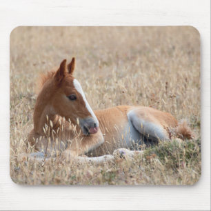 Tapis De Souris Foie sauvage de Mustang
