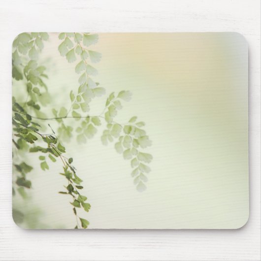 Tapis De Souris Foliage de printemps (Devant)