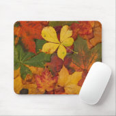 Tapis De Souris Folithe d'automne (Avec souris)