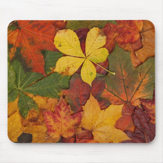 Tapis De Souris Folithe d'automne (Devant)