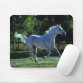 Tapis De Souris Fonctionnement d'étalon de pur sang (Avec souris)
