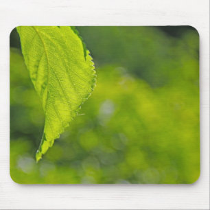 Tapis De Souris Fond flou de feuille d'arbre