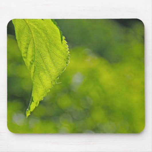 Tapis De Souris Fond flou de feuille d'arbre (Devant)