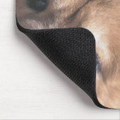 Tapis De Souris Forces d'appoint de passt d'Amadeus (Coin)