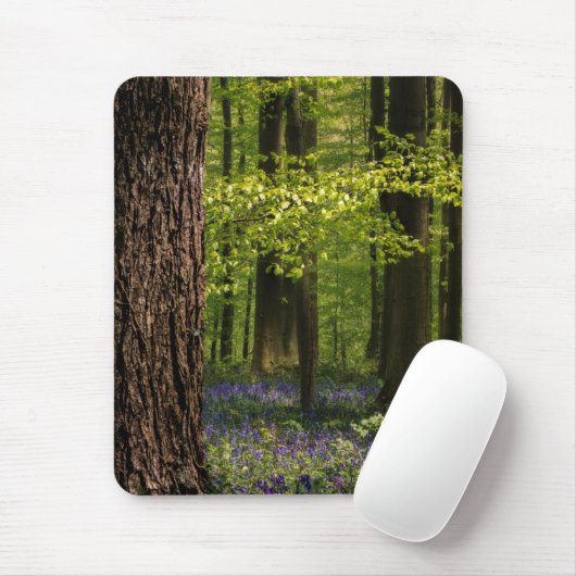 Tapis De Souris Forest | Bluebells en Belgique (Avec souris)