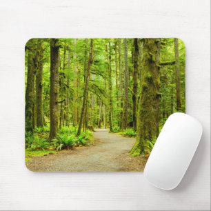 Tapis De Souris Forest Parc national olympic