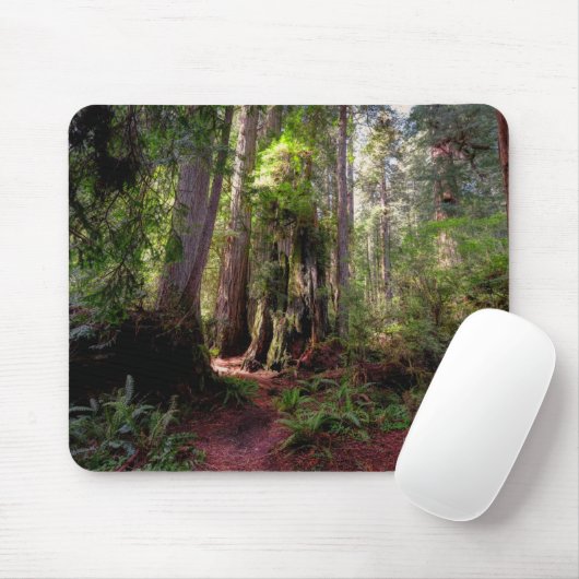 Tapis De Souris Forest | Séquwood Forest California (Avec souris)